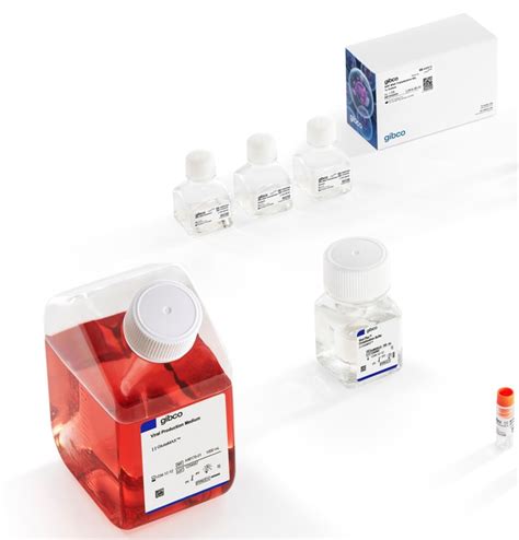 Gibco AAVMAX Production Medium: Key Features Explained